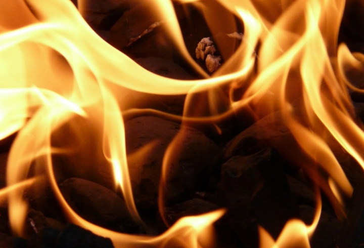 фото: pxhere.com