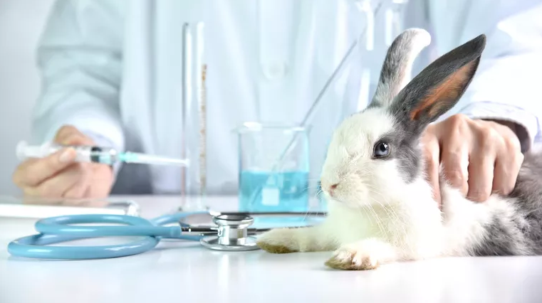 © photo credit by iStock