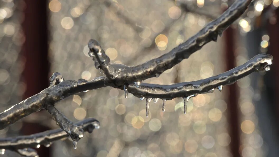    Олег Рукавицын/"Царьград"