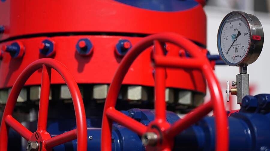    Фото: ИЗВЕСТИЯ/Дмитрий Коротаев