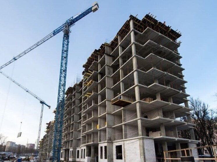     Фото: Владислав Шапша/ТГ