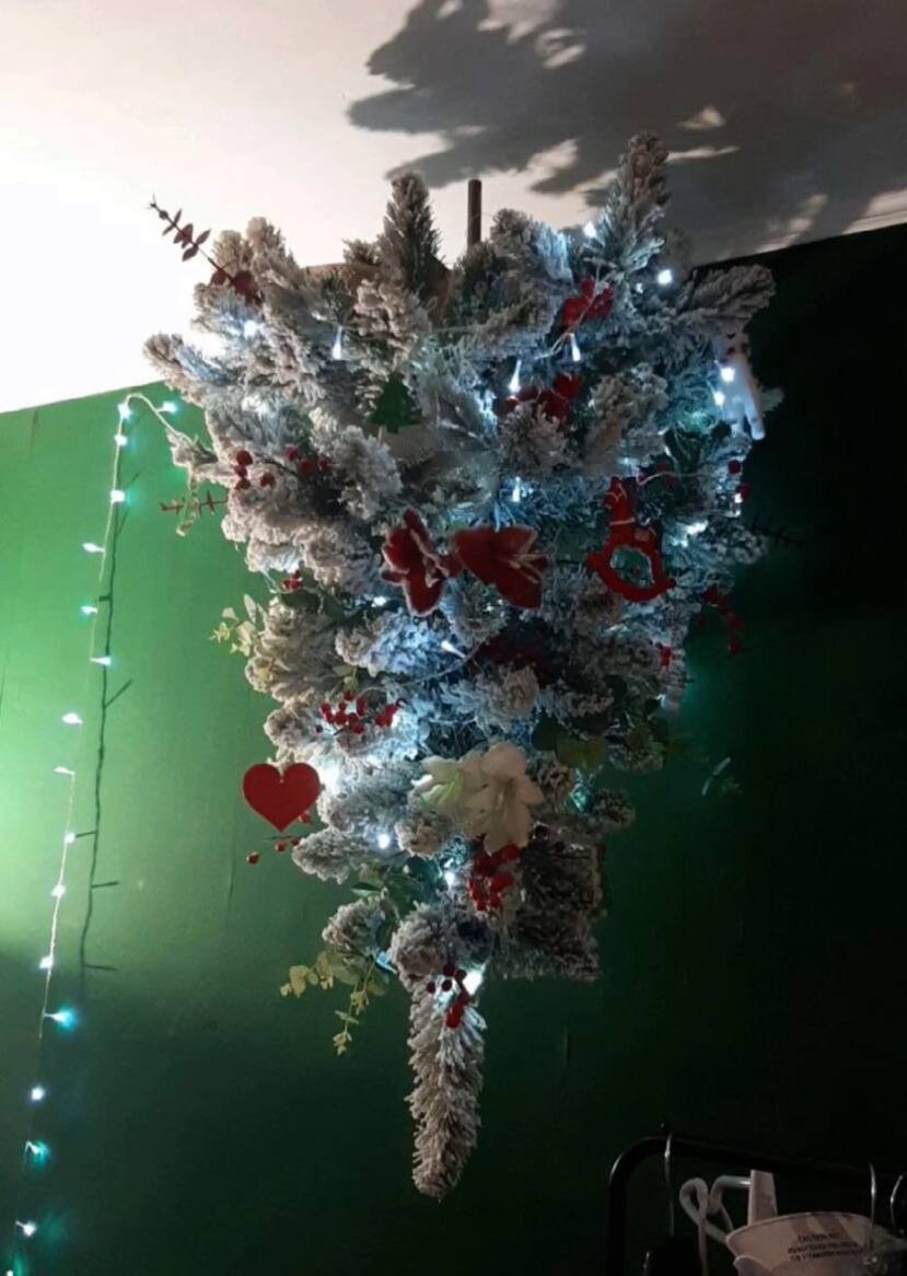 2021 год, когда появился бывший бездомыш Тайсон. Решили не рисковать и подвесить ёлку на кронштейн для телевизора.