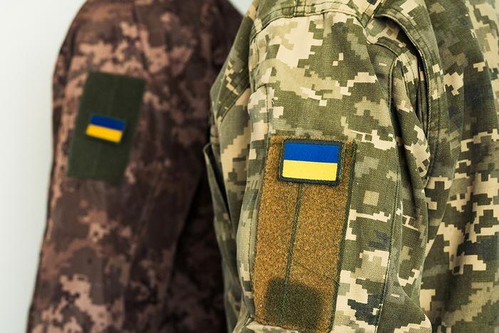 Обложка © Shutterstock / FOTODOM / Dmytro Krutikov