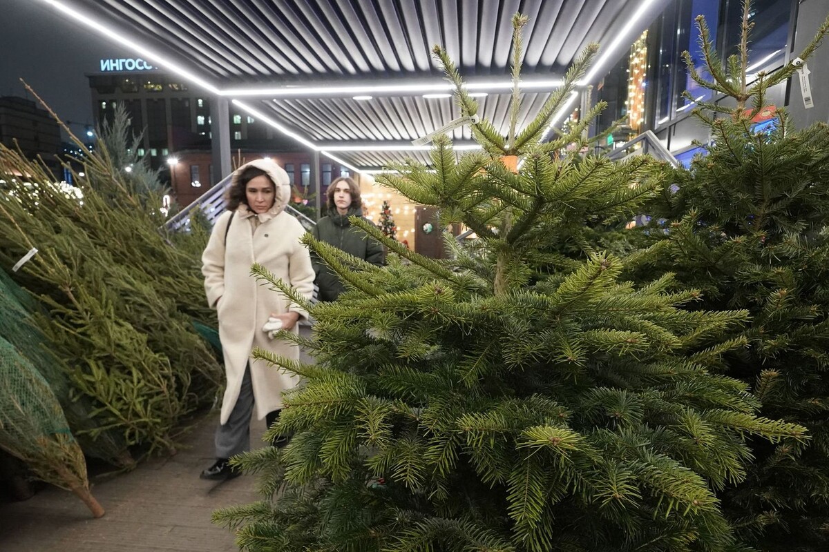     / Источник: © ИЗВЕСТИЯ/Эдуард Корниенко