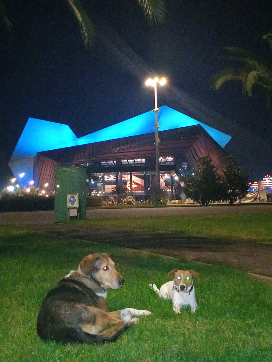 ТКК "Сириус" впервые включил подсветку