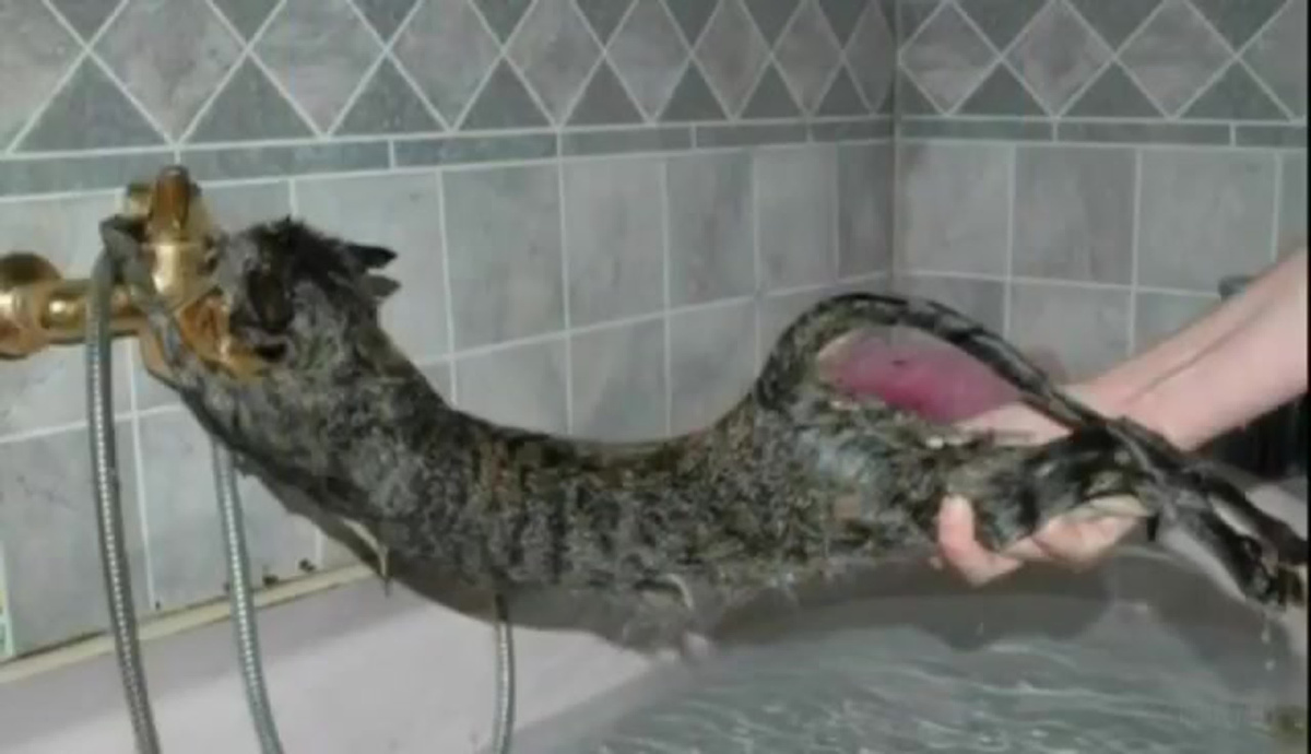 Фотография из интернета