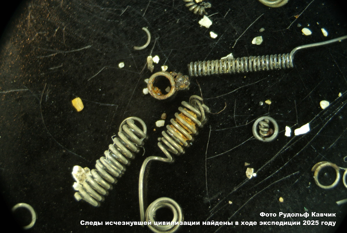 Фото публикуется впервые. Найденные вольфрамовые "пружинки" в ходе экспедиции 2025 году. Увеличение х40. Фото Рудольф Кавчик