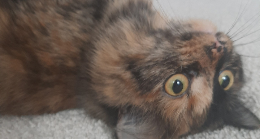    Фото из архива редакции