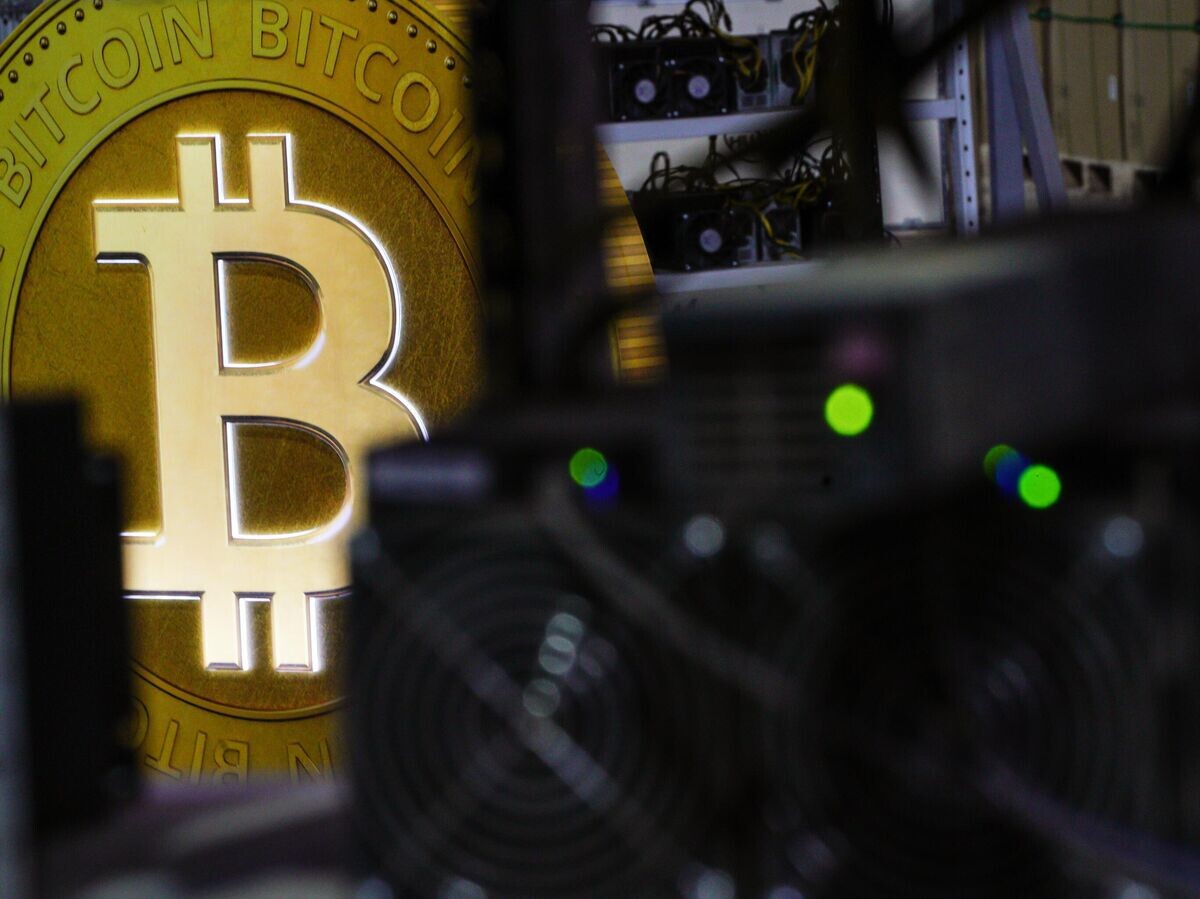    Стеллажи с фермами для майнинга криптовалют | © РИА Новости / Владимир Астапкович