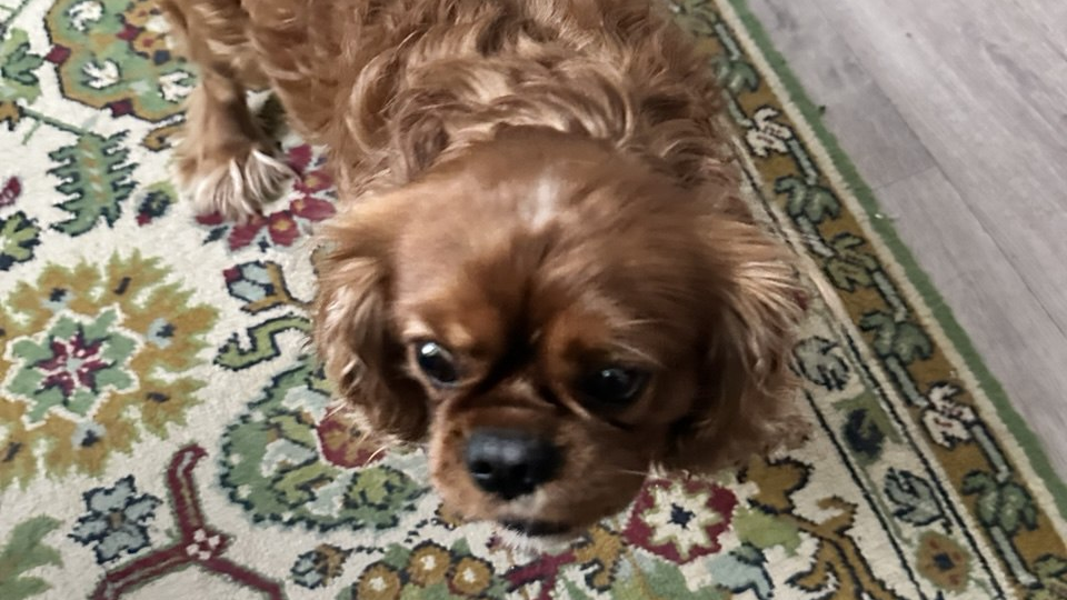 Зарисовочка