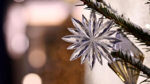    © Sputnik / Сергей Пятаков