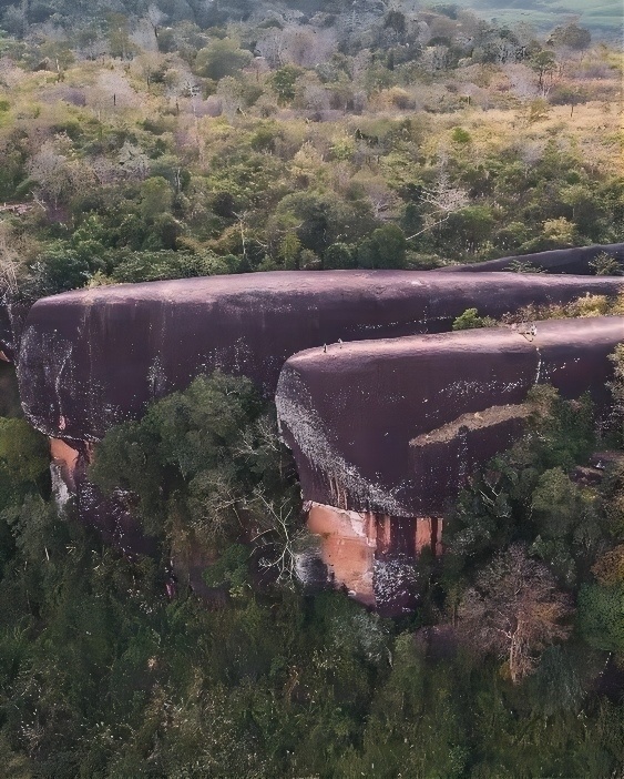 Изображение взято с сайта https://vk.ru/wall-119220096_1078084