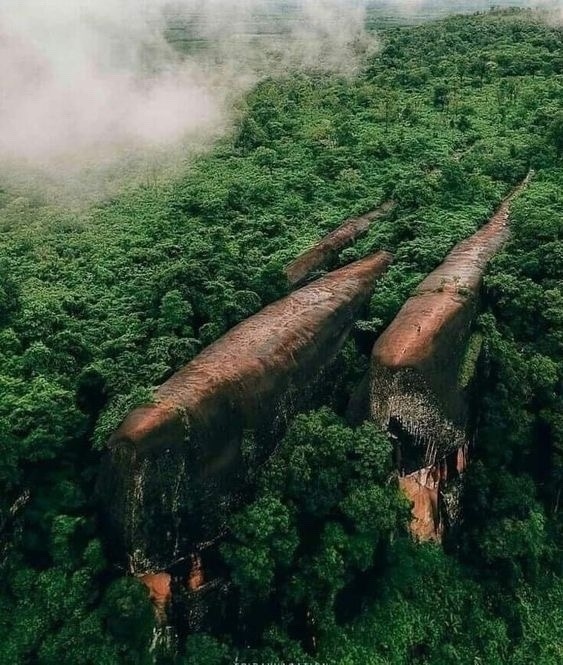 Изображение взято с сайта https://vk.ru/wall-119220096_1078084