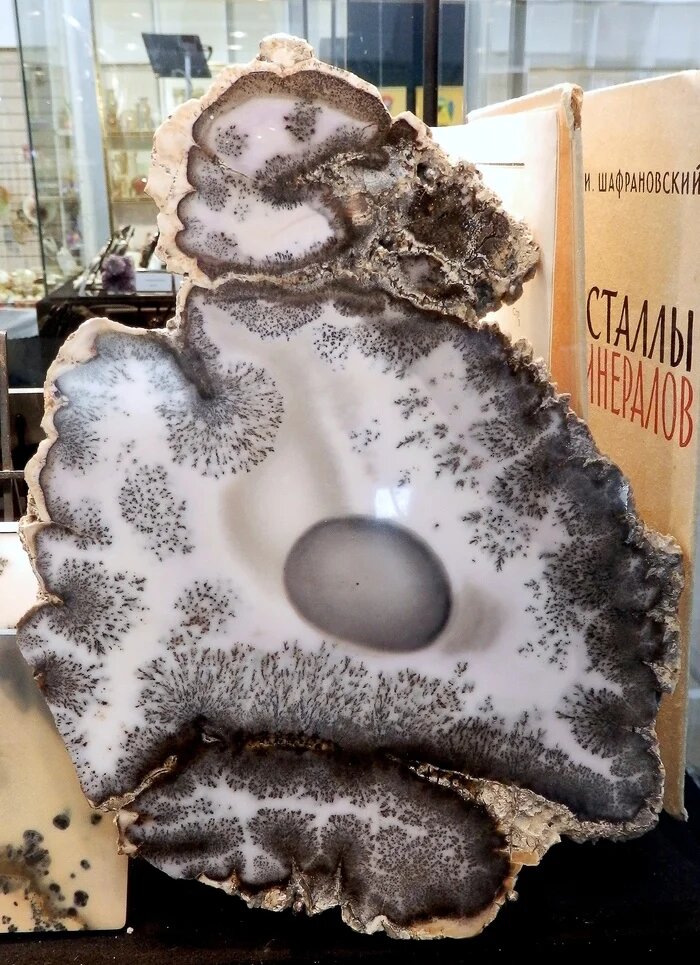 "Моховой агат" (пейзажный халцедон). Месторождение Алатакыр (Шыбынды), Казахстан. Фото автора, выставка "Мир Камня"