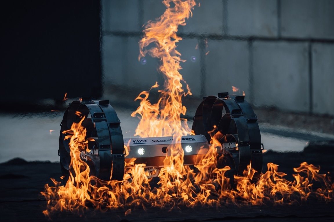 Источник: KAIST  📷
