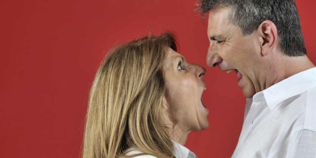 – Квартиру и развод хочешь? Останешься ни с чем! – кричал муж после измены. Часть 3