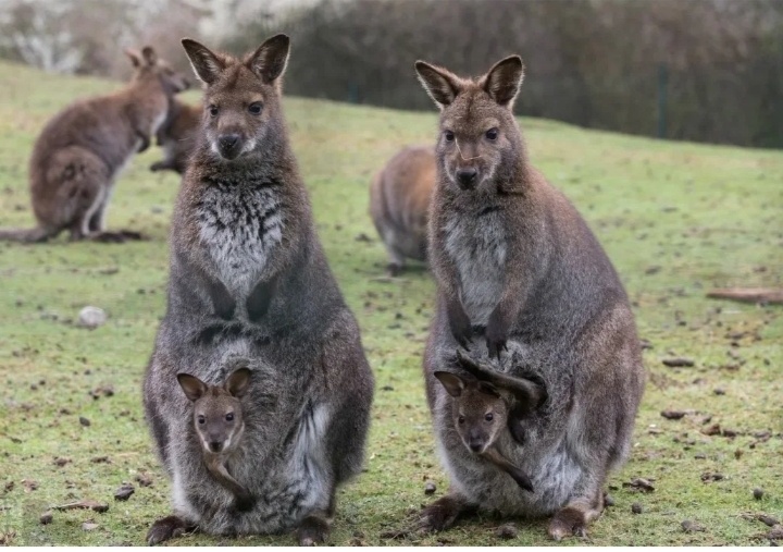 Эх когда же этот декрет закончится....