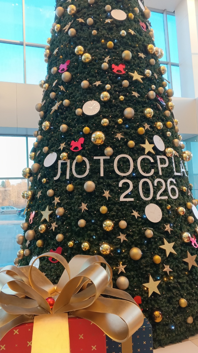 фото автора: елка в Лотос Плаза