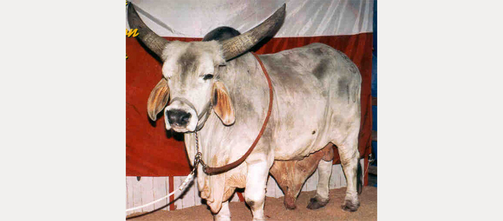 Кроме того, клон может не унаследовать характер оригинала.