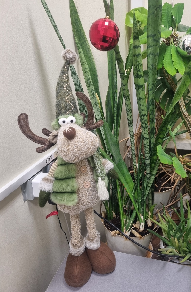 Один из подарков. Олень новогодний. Со снежинкой на носу.