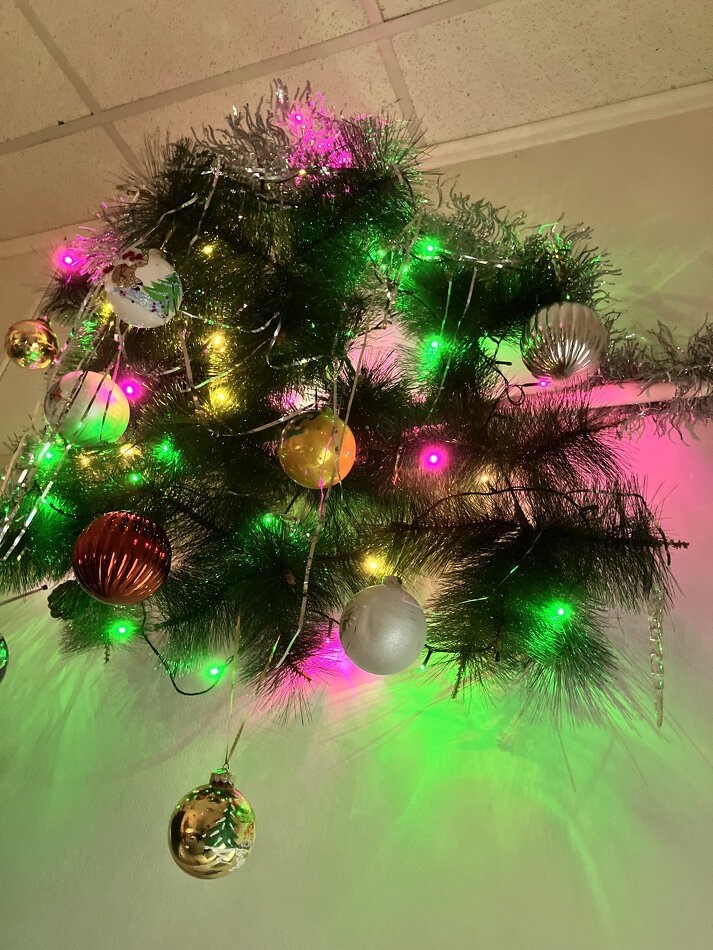 Психолог Зинаида Чистикова// Фотография из личного архива семьи Чистиковых