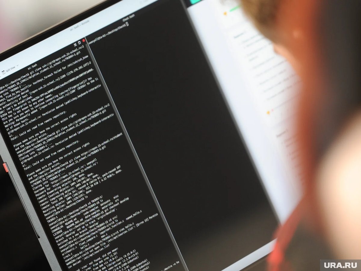     Коллеги из Индии не смогут заменить российских IT специалистов