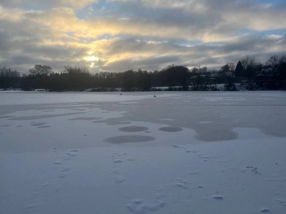    Фото: соцсети замглавы г.о. Сергиев Посад Павла Бронникова