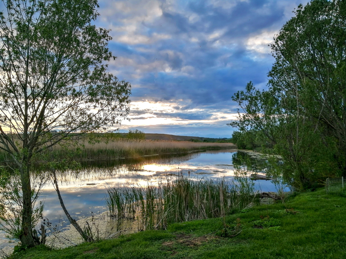 Фото автора