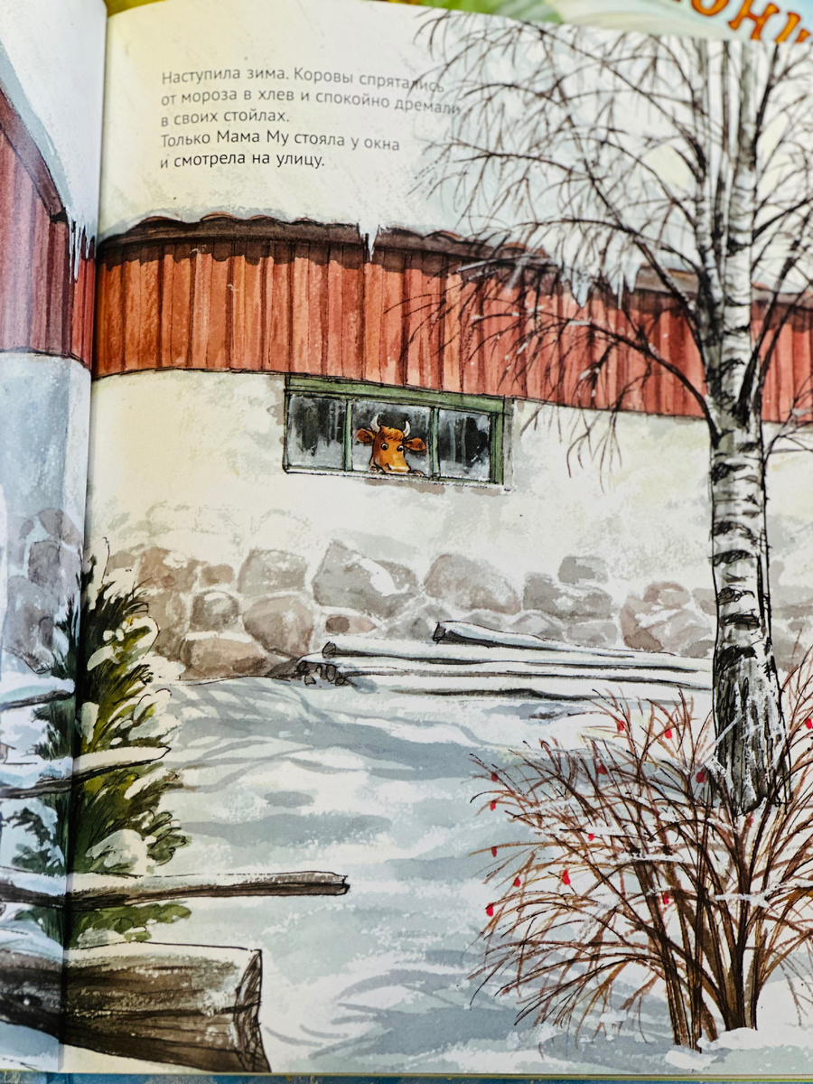 Фото автора канала 