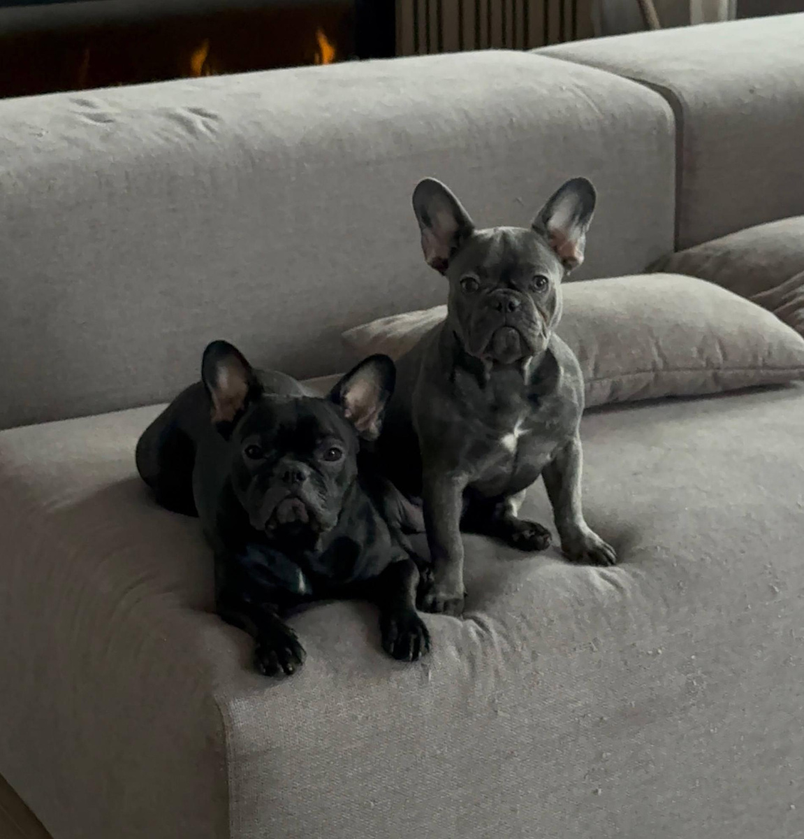    Фото: Telegram @sasha_stone13