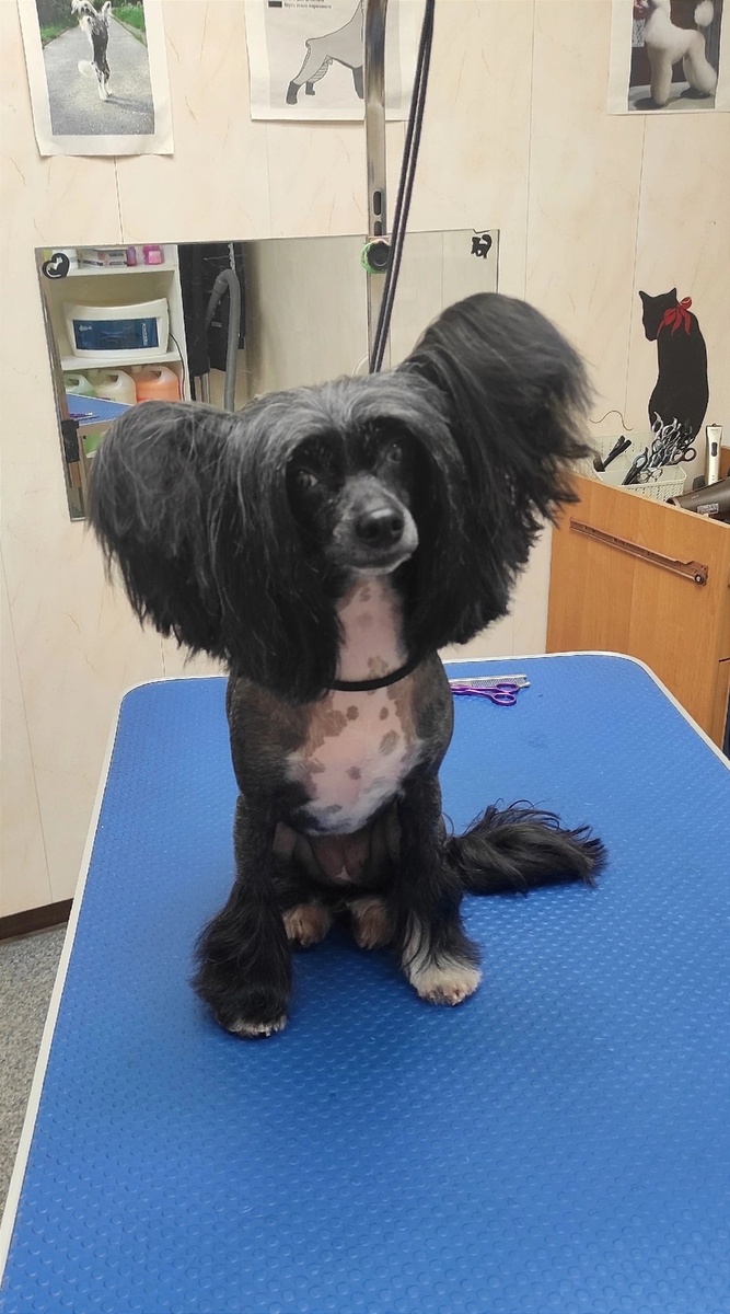    фото: © Биг Алерт