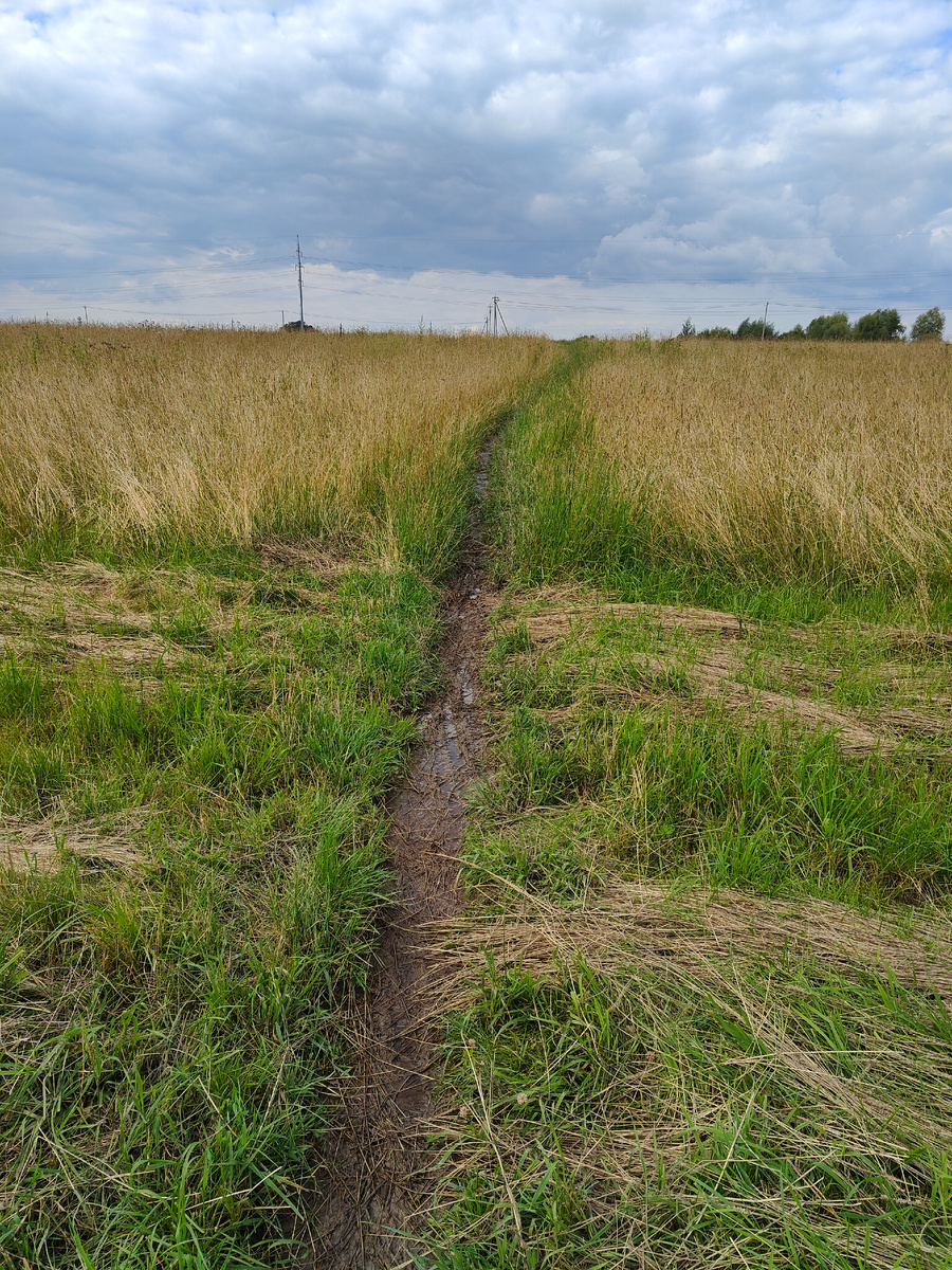 Картинка отражает моё состояние: трудный путь и тучи на горизонте.