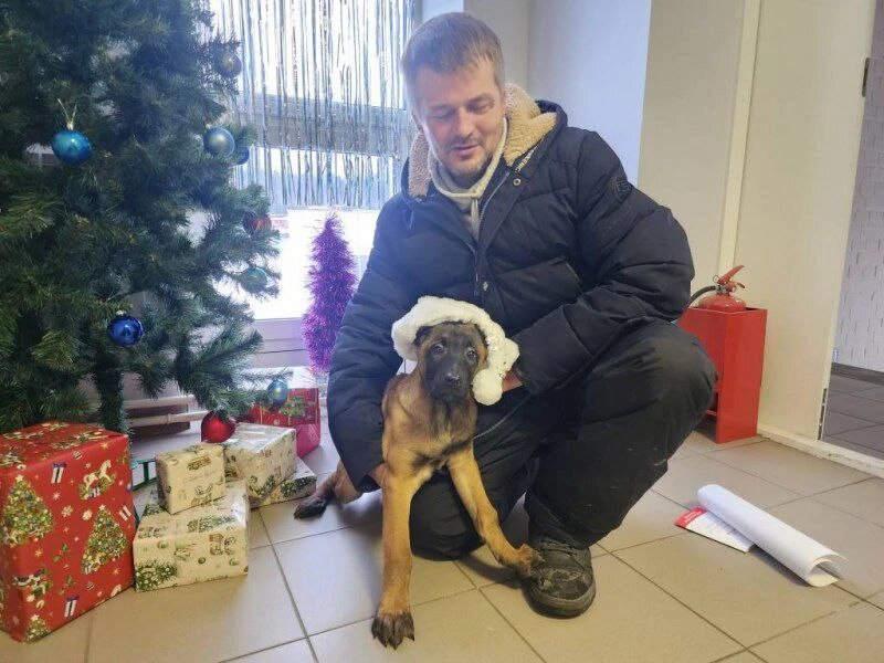 Листайте вправо, чтобы увидеть больше изображений