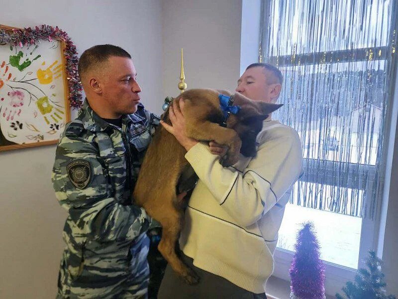 Листайте вправо, чтобы увидеть больше изображений