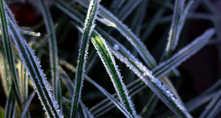    Первый городской канал Калининград
