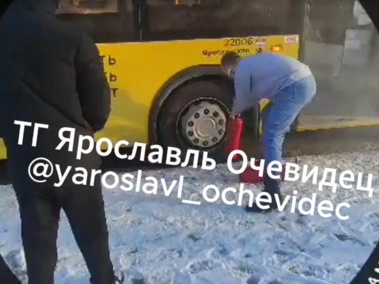     фото тг Ярославль Очевидец