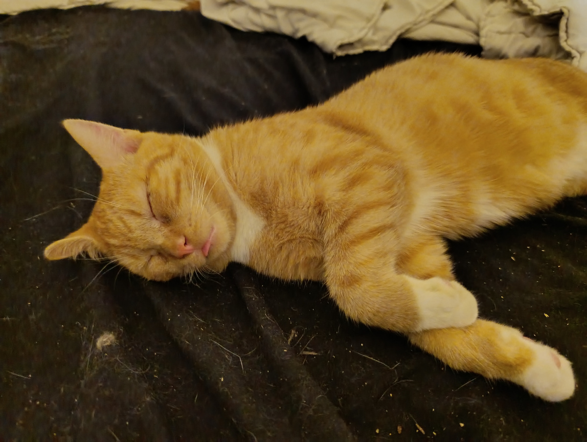 Язык Вам всем 😅