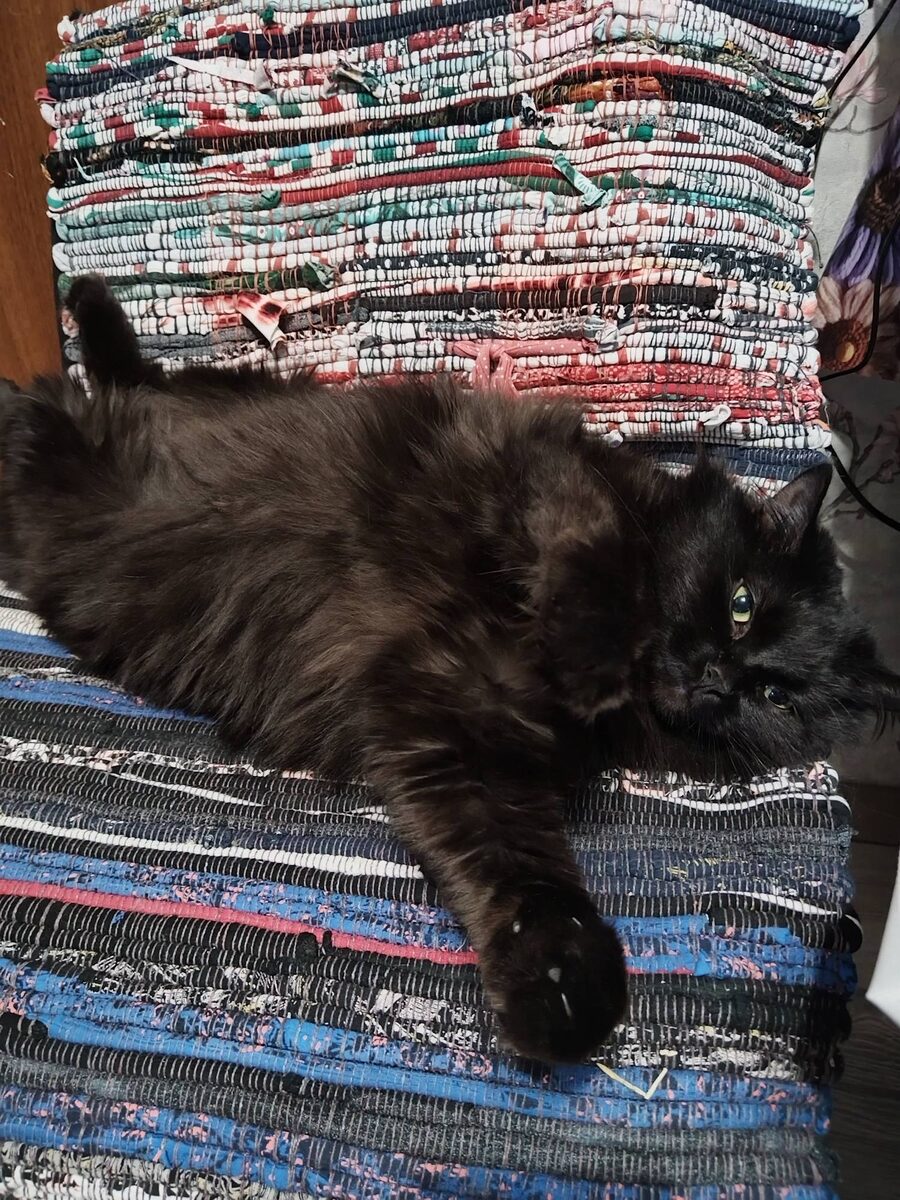 На страже мыслей... 