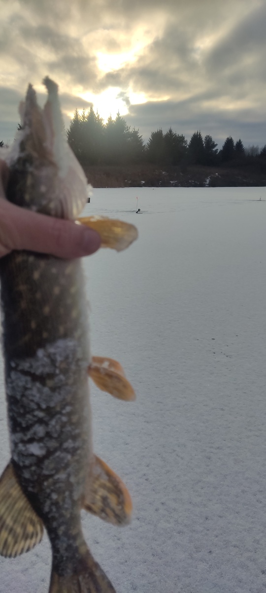 А вот и вторая на фотосессию пожаловала!