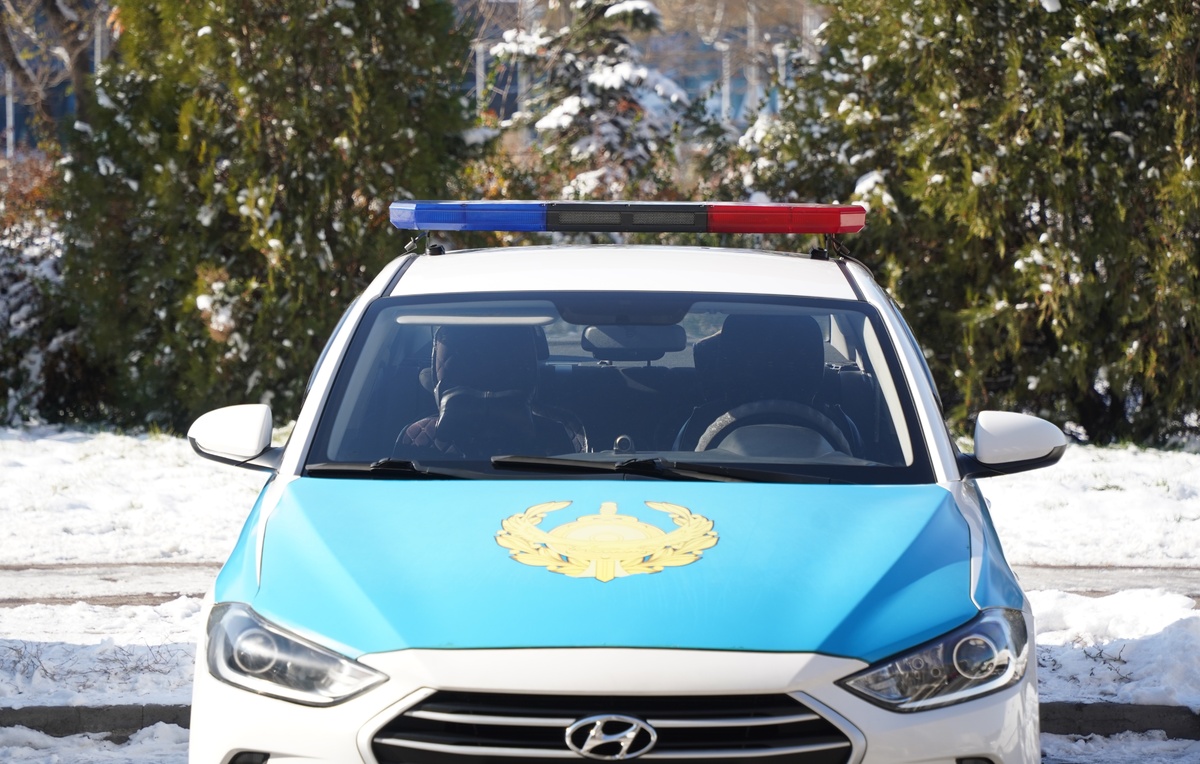 Vladimir Tretyakov/Shutterstock/FOTODOM, архив