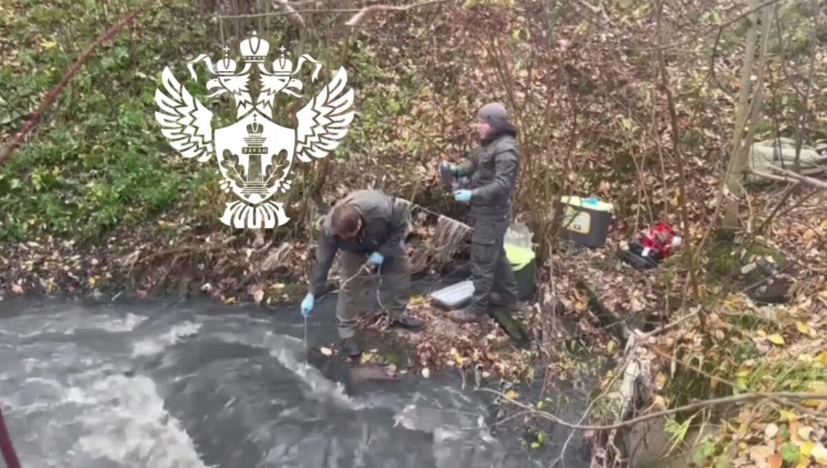    Фото: Северо-Западное управление Росприроднадзора