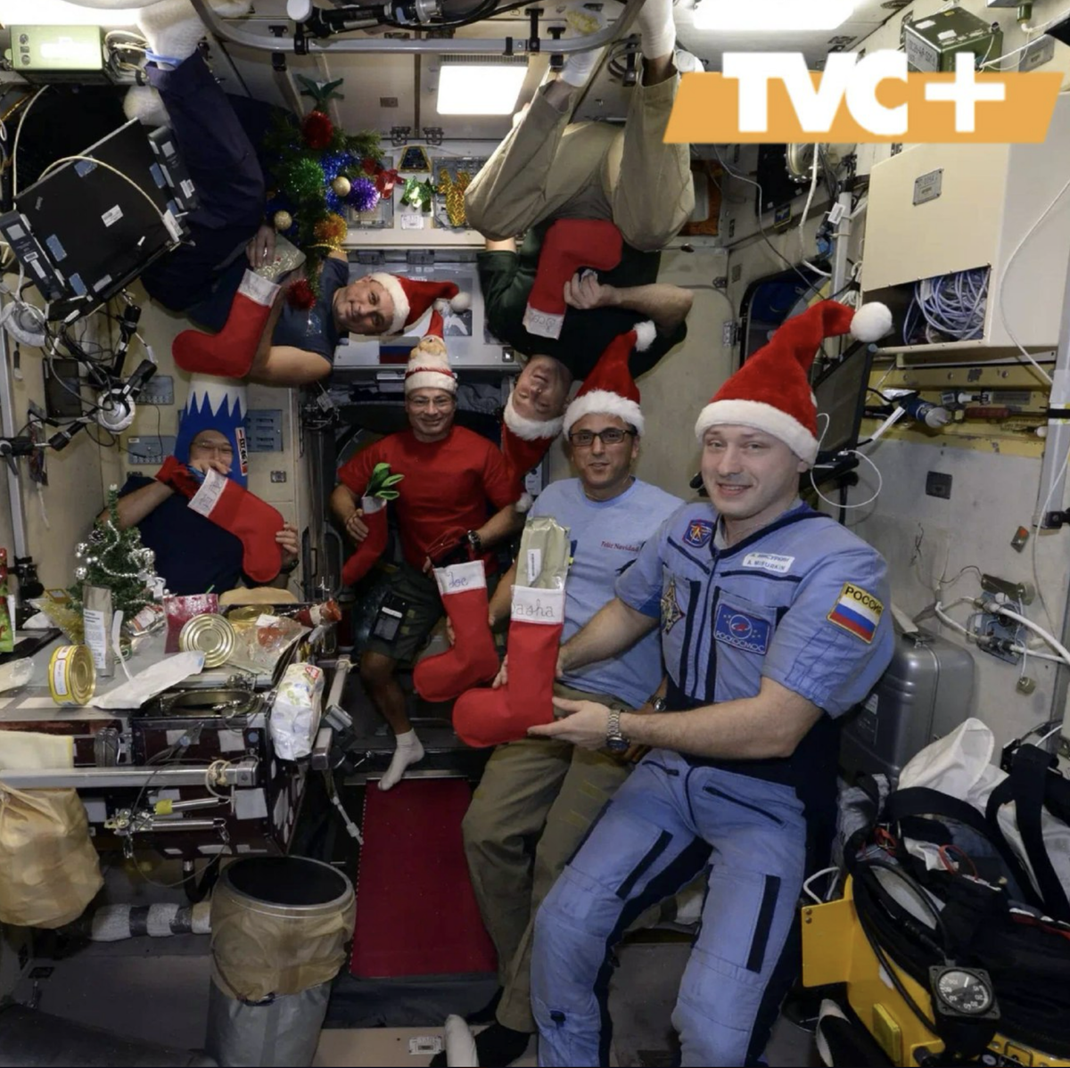 Новогодний стол