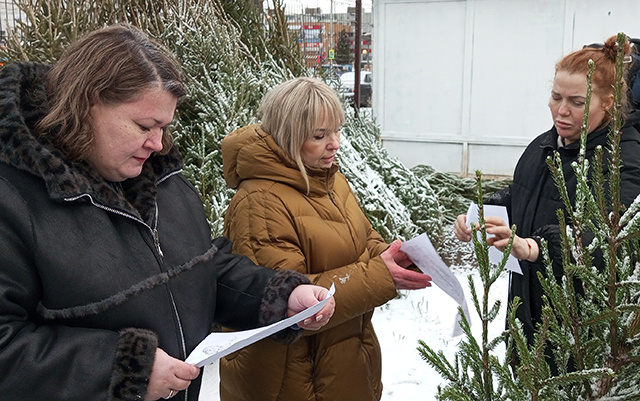Откуда деревья на тверских ёлочных базарах и хороши ли они