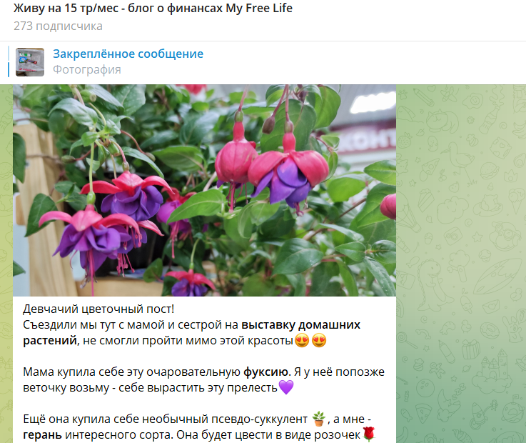 Вот здесь рассказываю о новом домочадце💜