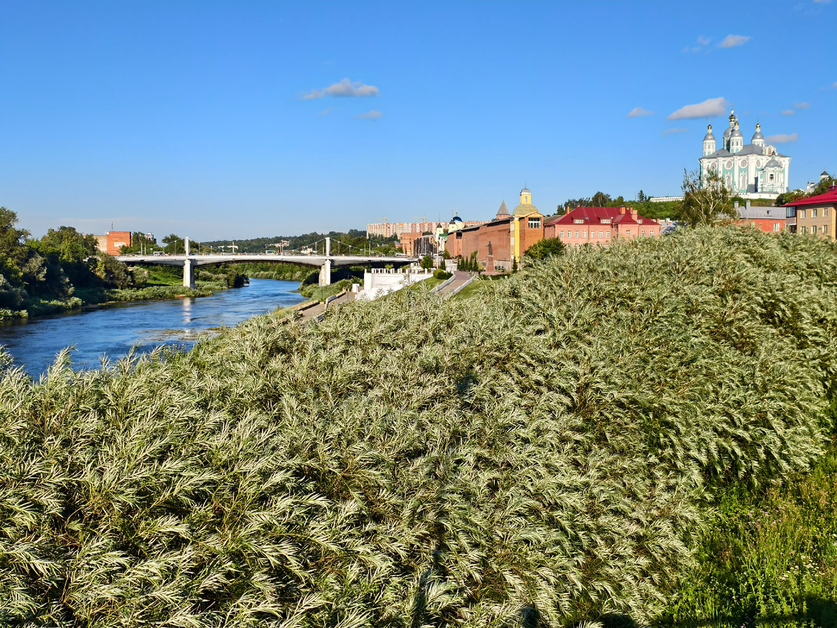 Набережная Днепра 