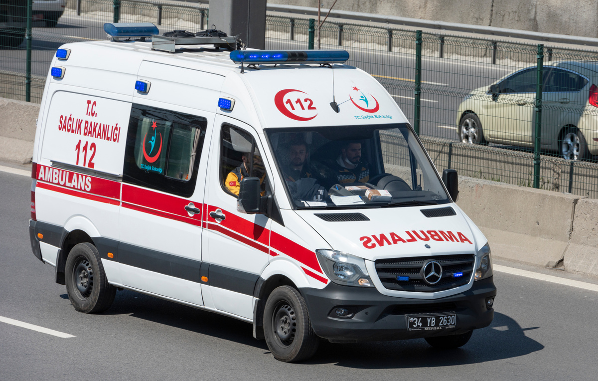 gd_project/Shutterstock/FOTODOM, архив