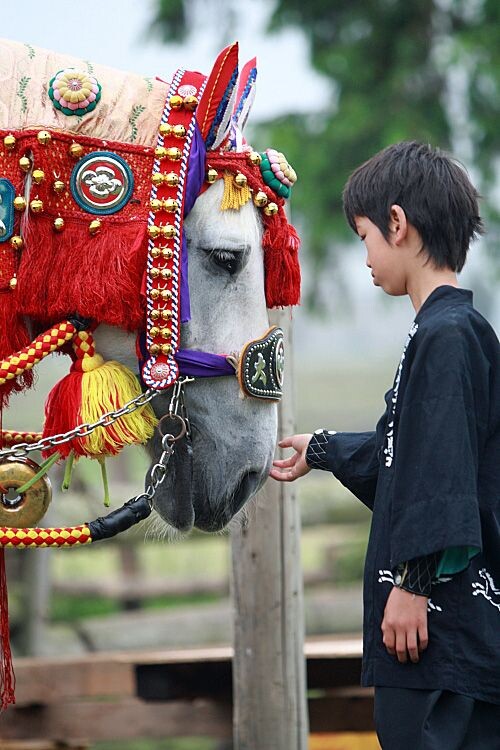 Белая лошадь самая почитаемая масть, но чисто белые лошади почти не встречаются.