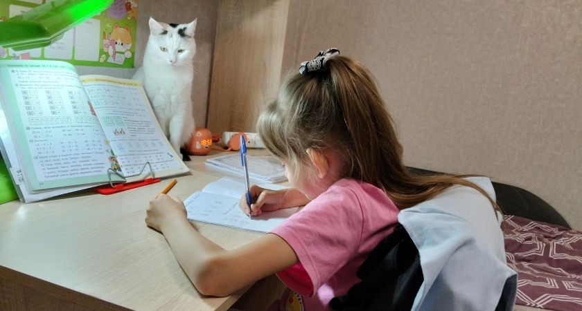    Фото progorod43.ru