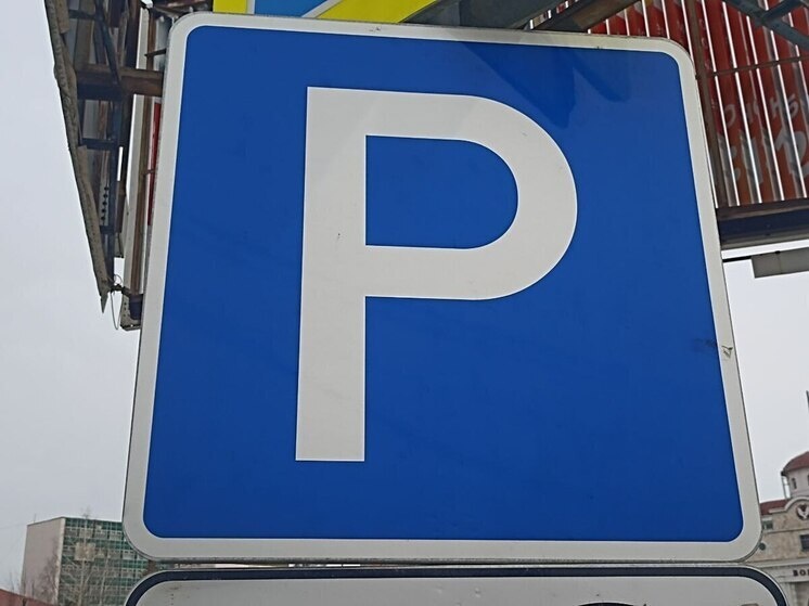     Фото: архив МК в Питере.