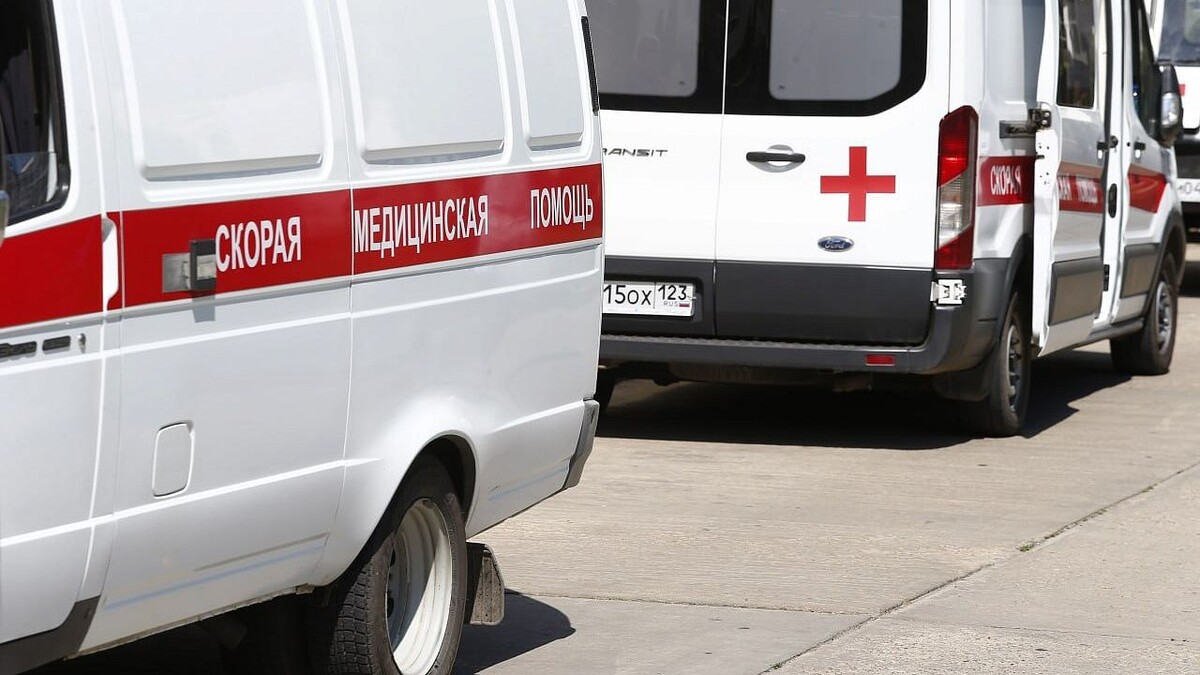    Фото: телеканал «Краснодар»